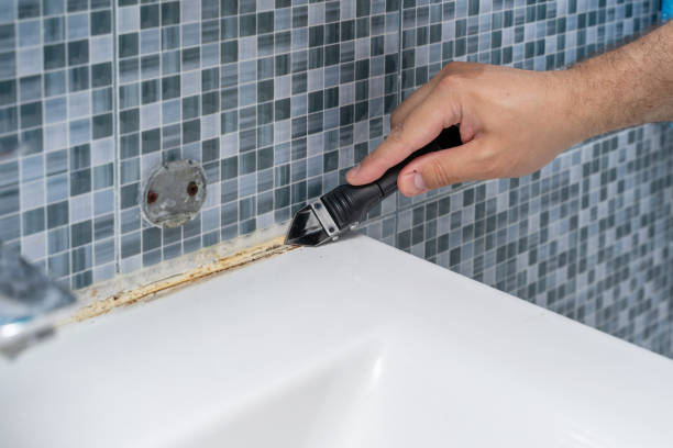 Best Mold Testing  in Chetopa, KS