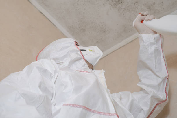 Best Commercial Mold Removal  in Chetopa, KS