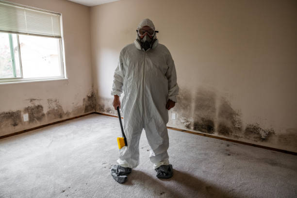 Best Commercial Mold Removal  in Chetopa, KS